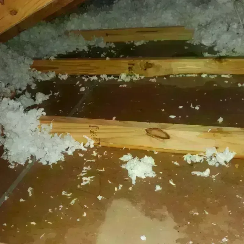 Attic Water Damage in Castroville, TX